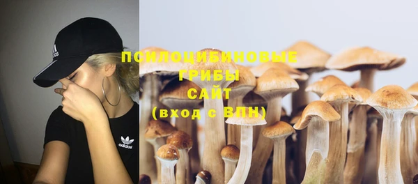 MDMA Белокуриха