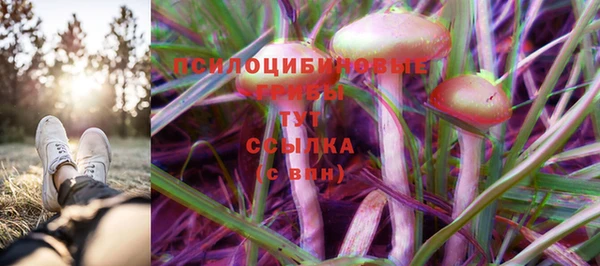 MDMA Белокуриха
