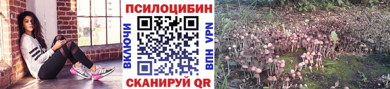 Галлюциногенные грибы Psilocybine cubensis  площадка официальный сайт  Бутурлиновка 