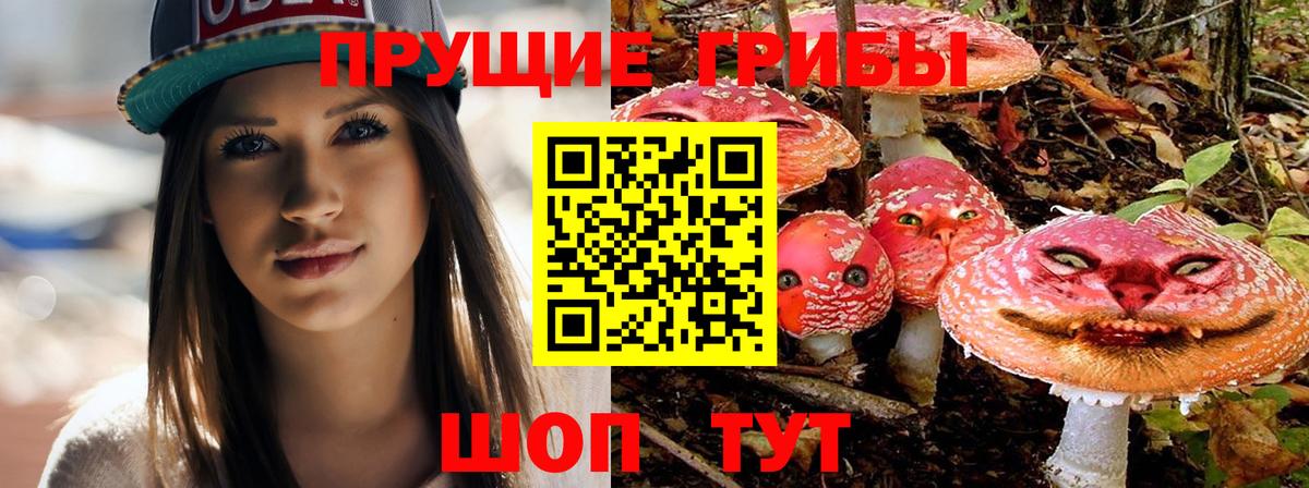 Псилоцибиновые грибы ЛСД  Вход с VPN  Бутурлиновка 